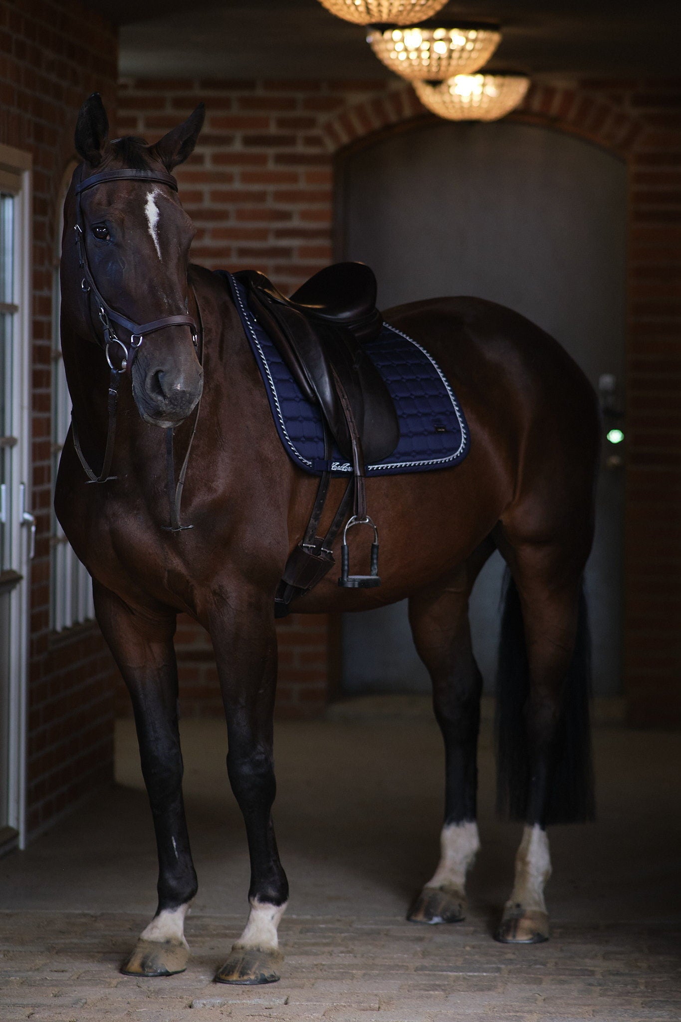 Dressage Deep Ocean (7339253203157)